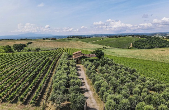 Villa surrounded by vineyards with private pool near Orvieto