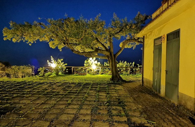 Villa "The Garden of Rocco"