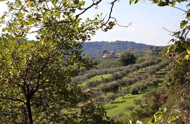 VILLA TILLA: PEACE, PRIVACY, RESERVED POOL, HUGE VIEW. IT'S PARADISE.