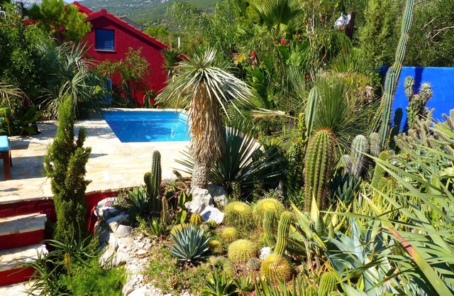 Villa Tropica - villa with pool and private garden