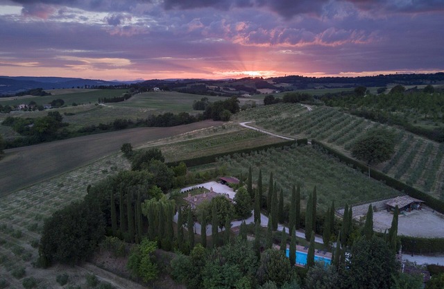 Villa Tulipano by Miani Group