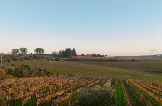 Villa vista vigneto