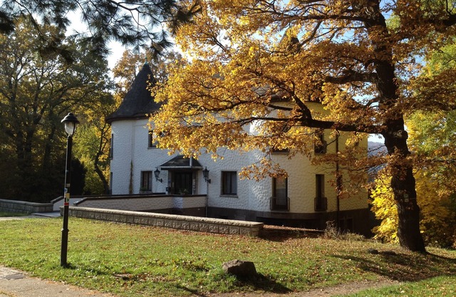 Villa Warzenburg, apartment 3 with a view of the spa promenade. Vacation with a dog.
