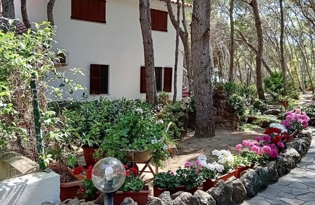 Villa with direct access to the sea - Porto Pino CIN IT111070C2000S3244