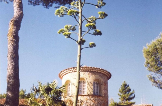 villa (with tower of stones and swimmingpool) - privatly owned ground of 6 ha - beautiful view - 5 rooms - 8 persons