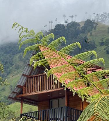 Villacaima - La Martina