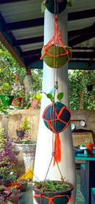 Village Breeze Homestay