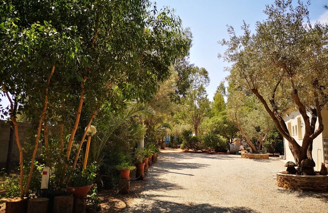 Village Camping Fico d'India