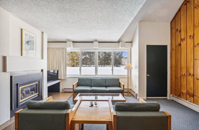 Village Green 8D: 2 br, gas fireplace, resort amenities!