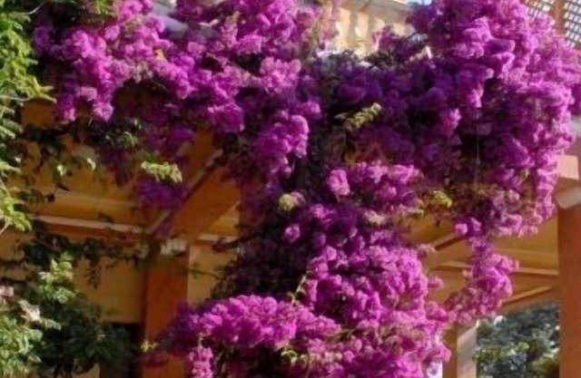 Villarancia – Luxury B&B