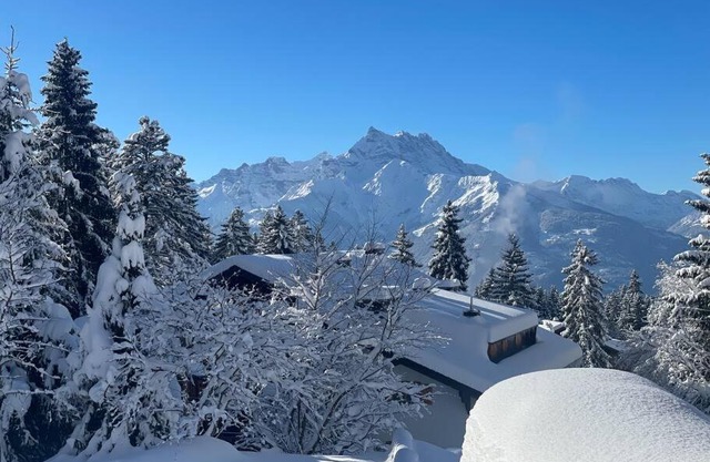 Villars Alpine Heaven - Ski In