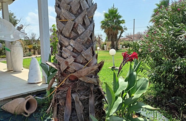 Villetta bifamiliare con piscina