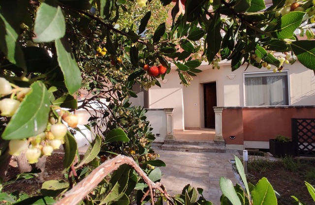 Villetta Butterfly: Your Charming Retreat in Salento CIN IT075020C200069821