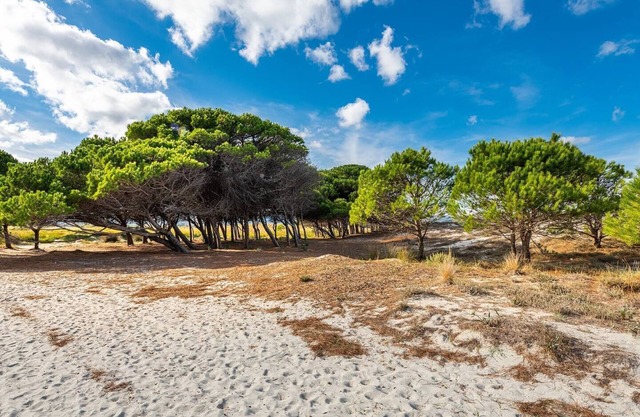 VILLETTA CARROZZA: quiet and strategic location