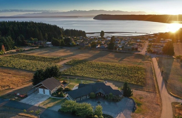 Vineyard Villa + Guesthouse/Swim Spa +Hot tub With A/C
