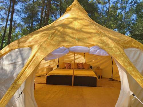 VinSan Glamping & Wellness Centre