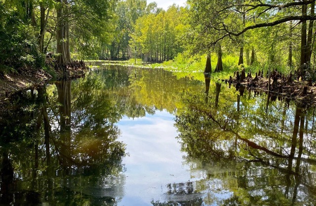Vintage Old Florida Cottage on Dead Boat Cove, Boat and Dog friendly!