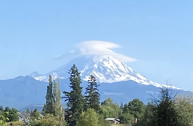 Vintage Sunline Trailer with View of Mt Rainier, 1hr from Mt Rainier