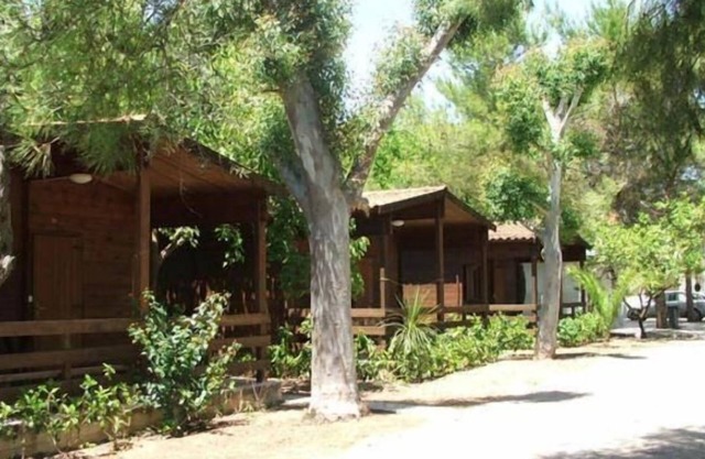 Viola Club Village