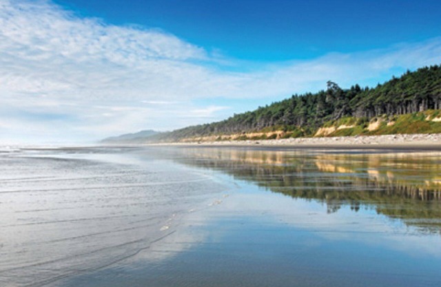 Visit the beautiful Leadbetter Point State Park & Wildlife Refuge!