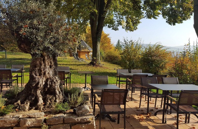 Vitalhotel König am Park