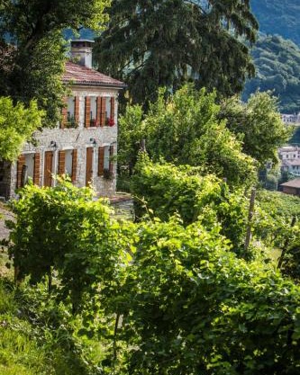 Vite in Rosa La Casetta