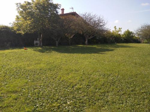 vivienda la perla
