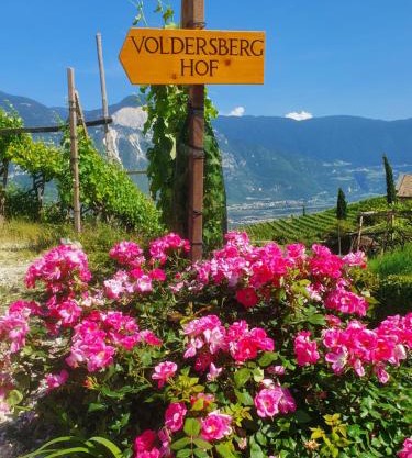 Voldersberghof