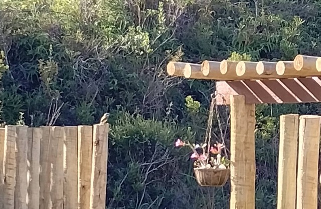 Vrbo Property