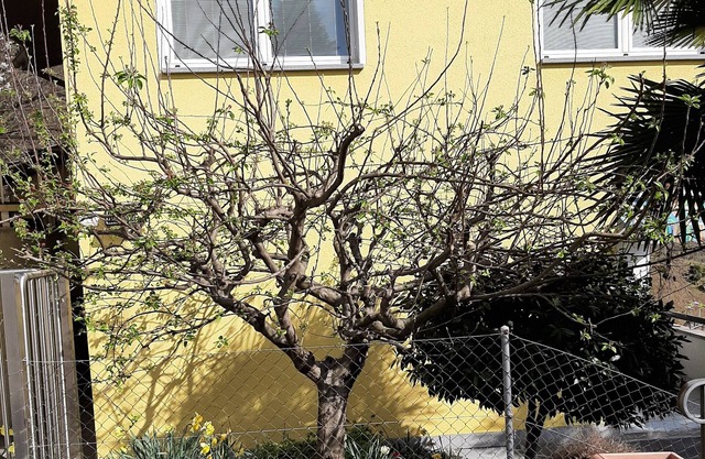 Vrbo Property