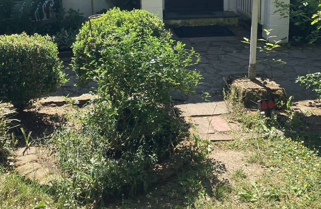 Vrbo Property