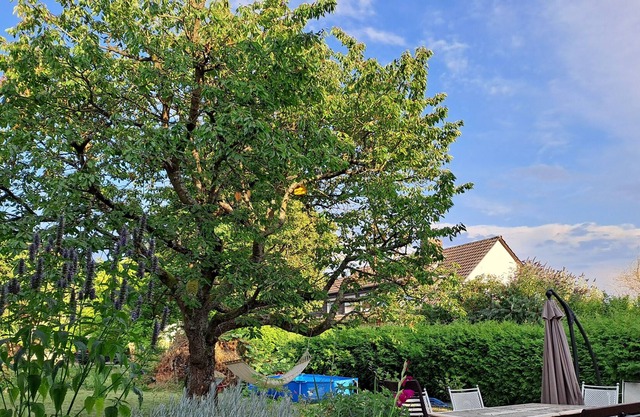 Vrbo Property