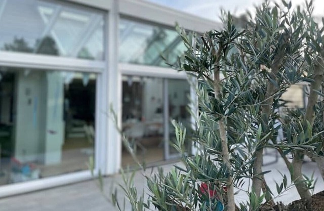 Vrbo Property