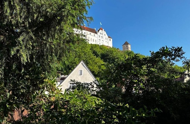 Vrbo Property