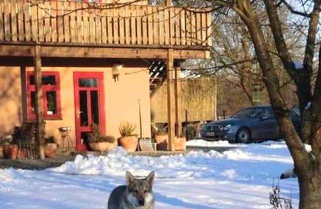 Vrbo Property