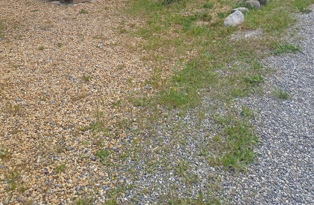 Vrbo Property