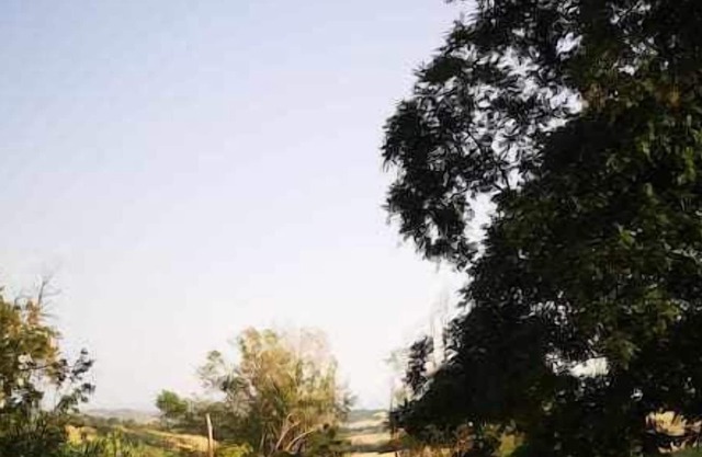 Vrbo Property