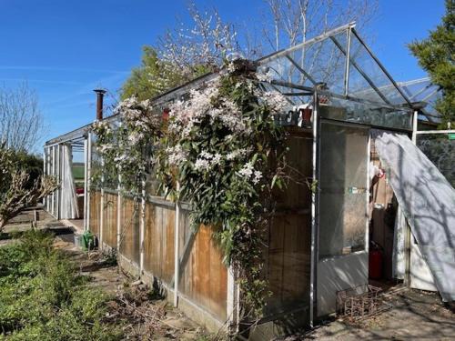 Vrijstaande accommodatie Glamping de Kas InN