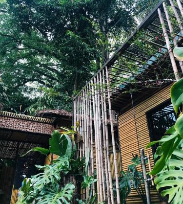 Vu's House