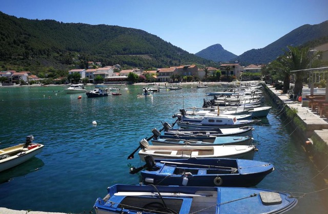 Vukotić Beach house