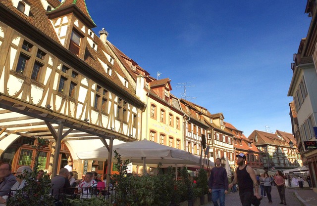 VVF Plaine d'Alsace Obernai Strasbourg