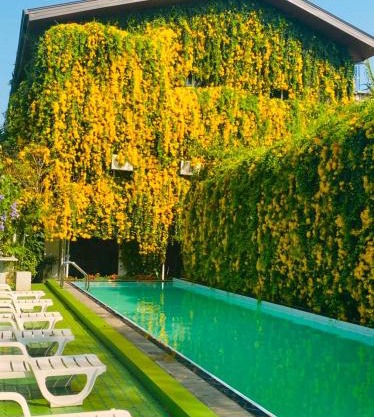 Waasala Eco Luxury Heaven