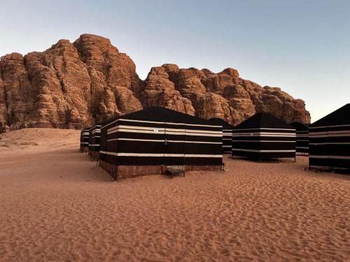 Wadi Rum Desert Experience