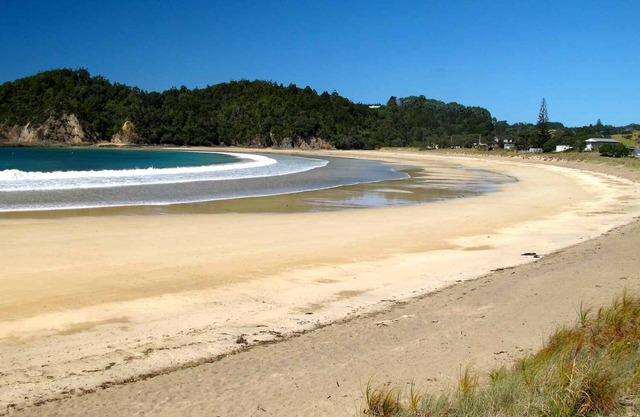 Waiotoi NZ - The Bush Hideaway