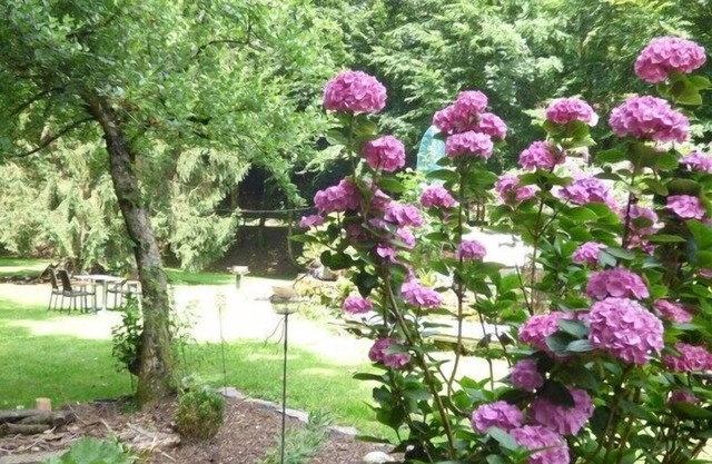 Wald Villa Üssbach