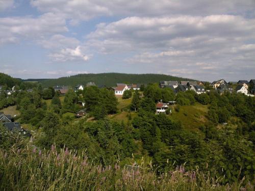 Waldblick