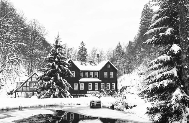 Waldhaus Wolfsbachmühle