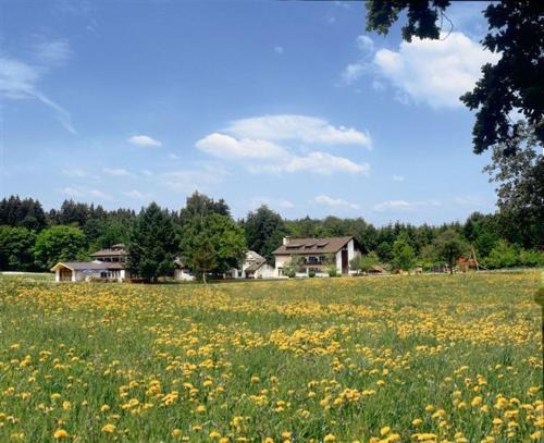 Waldhotel Geländer