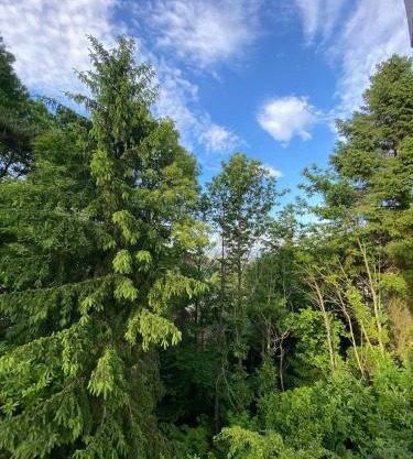 Waldzeit Apartment Natur Komfort und Self Check-in