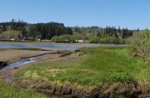 Walk to the Sound! From Fabulous RV with AC in charming Port Orchard!